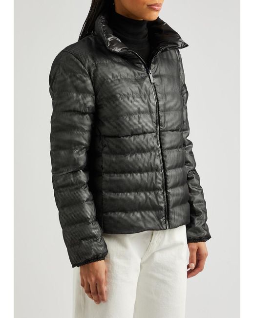 Moncler Black Onoz Quilted Shell And Mesh Jacket