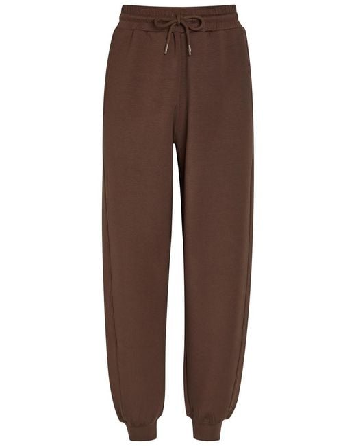 Now You Live Brown Uppingham Jersey Sweatpants