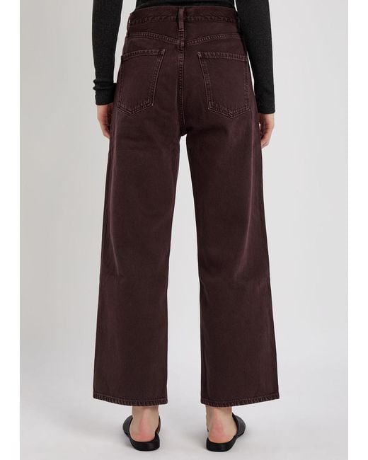 Agolde Brown Ren Wide-Leg Jeans