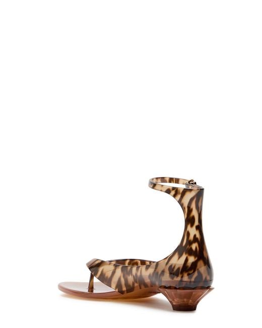 Chloé Brown Jelly 25 Thong Sandals