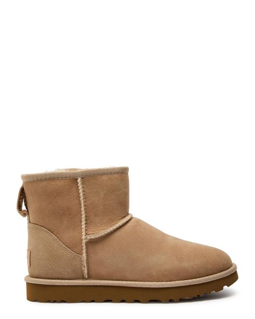 Ugg Brown Classic Mini Ii Suede Boots