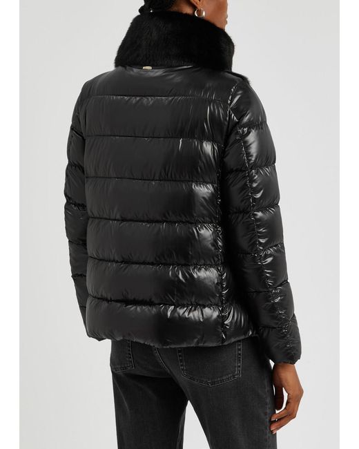 Herno Faux Fur And Quilted Shell Jacket in Black | Lyst