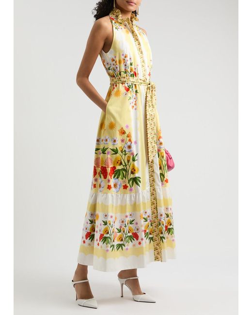 Borgo De Nor Metallic Biba Floral-Print Cotton Maxi Dress