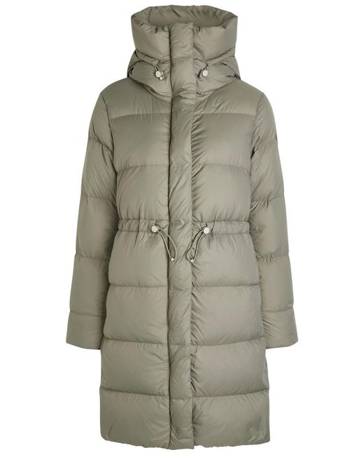 Canada Goose Gray Montgomery Padded Shell Coat