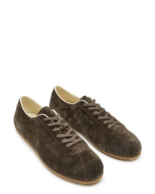 Common Projects Brown Driving Shoe Suede Sneakers for men