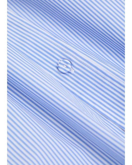 ARMARIUM Blue Leo Striped Cotton Shirt