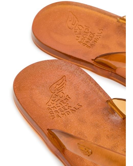 Ancient Greek Sandals Brown Jelly Flip Flops