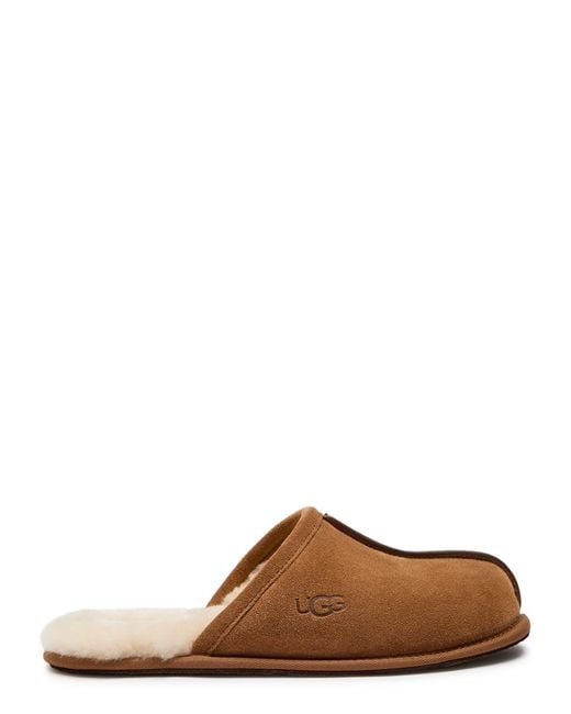 Ugg Brown Scuff Suede Slippers for men