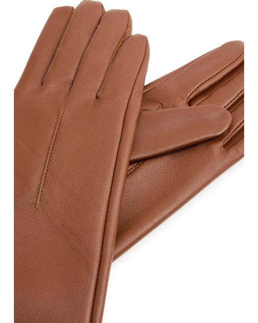 Dents Brown Mia Leather Long Gloves