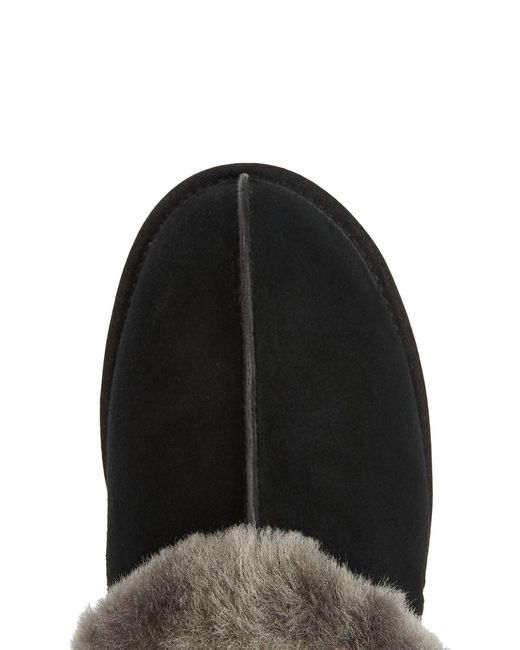 Ugg Brown Scuffette Ii Suede Slippers , Slippers, Designer Stamp