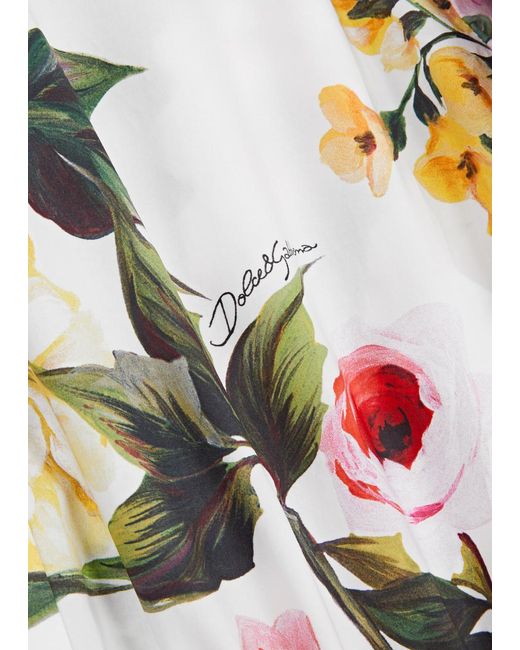 Dolce & Gabbana White Floral-print Cropped Cotton-poplin Shirt