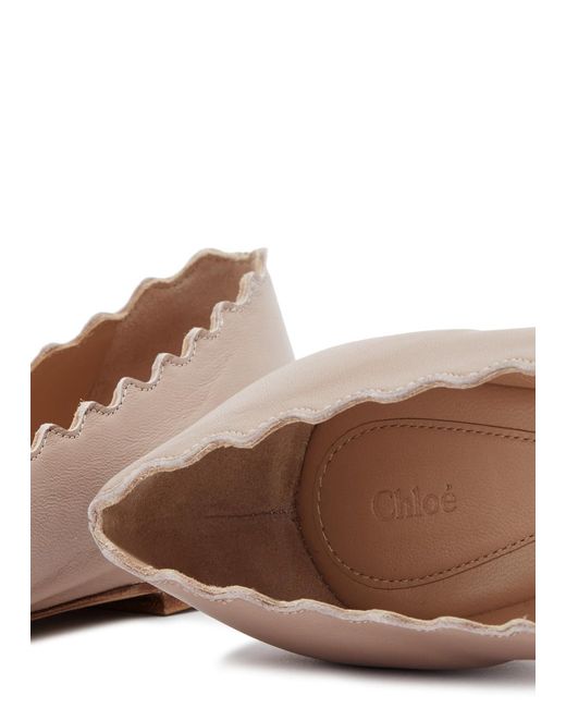 Chloé Brown Chloe Lauren Leather Ballet Flats