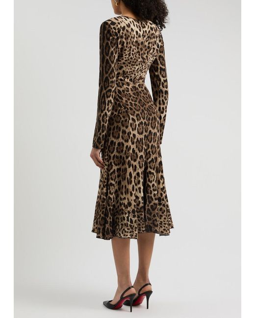 Dolce & Gabbana Natural Print Stretch-cady Midi Dress