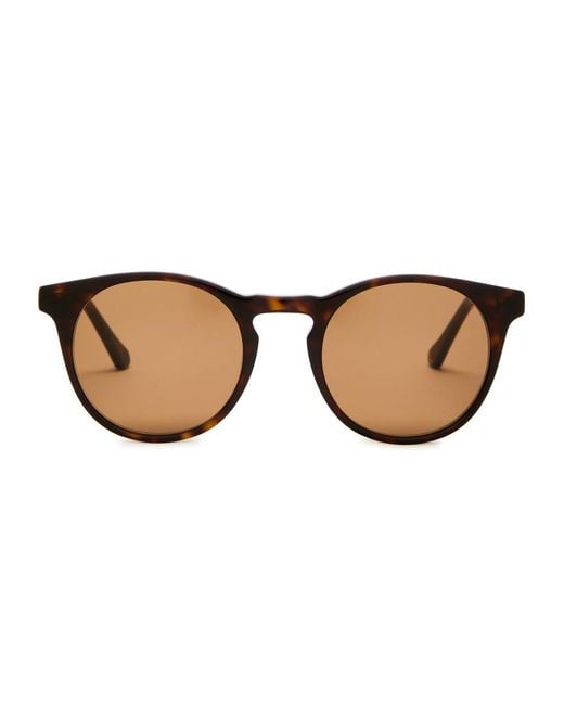 Finlay & Co. Brown Percy Round-Frame Sunglasses for men