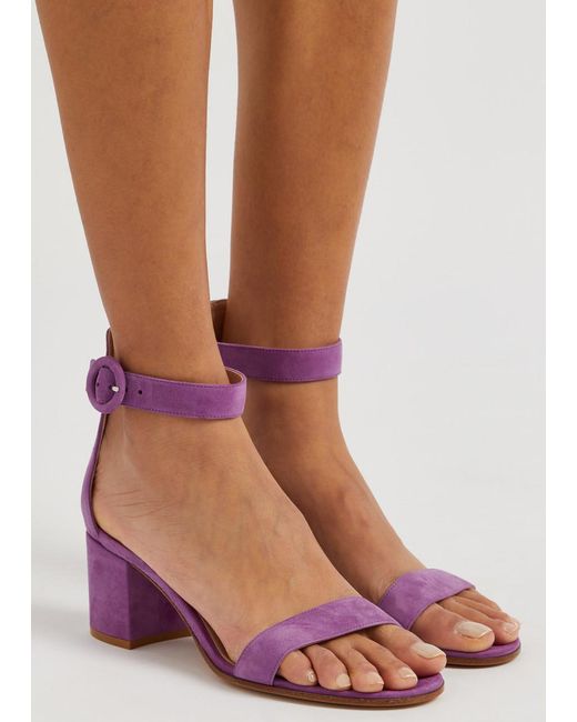 Gianvito Rossi Pink Versilia 60 Suede Sandals