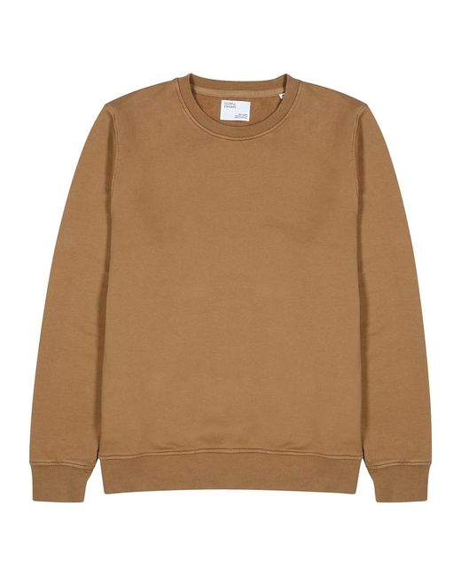 COLORFUL STANDARD Brown Cotton Sweatshirt for men