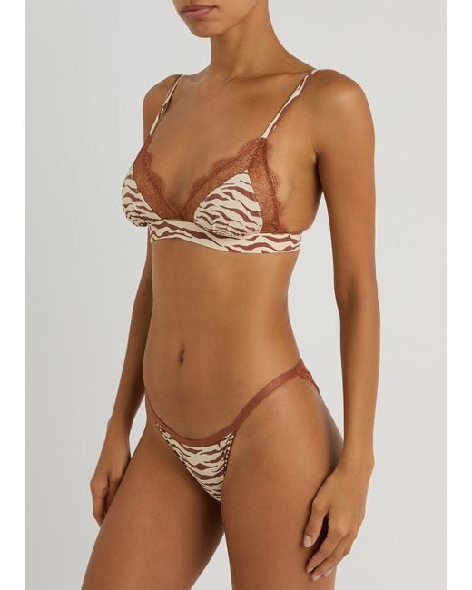 LoveStories White Wild Rose Zebra-Print Lace Briefs