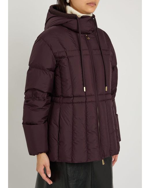 Moncler Purple Estom Padded Drawstring Shell Jacket