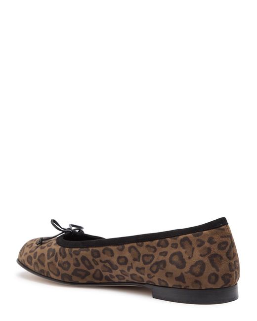 Manolo Blahnik White Veralli-Print Suede Ballet Flat