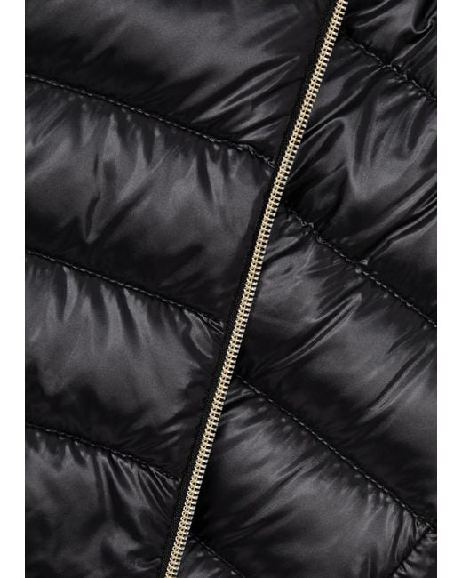 Herno Black Serena Quilted Hooded Shell Gilet