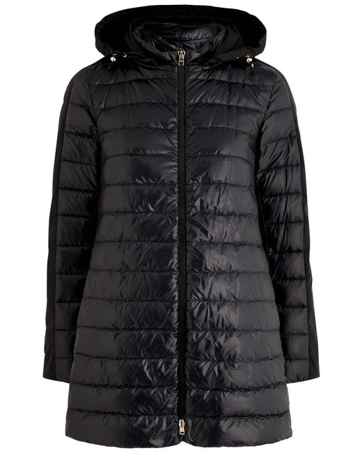 Herno Black Hooded Quilted Shell Jacket