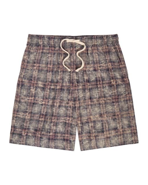 Picante Brown Rocco Checked Cotton Shorts for men