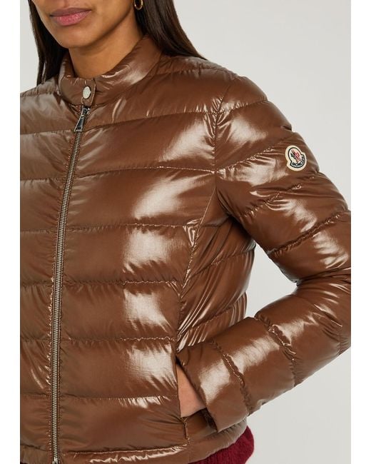 Moncler Brown 'Papillon' Down Jacket