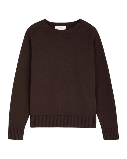 Max Mara Brown Salvia Wool Jumper