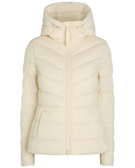 Canada Goose Natural Clair Hooded Padded Jacket