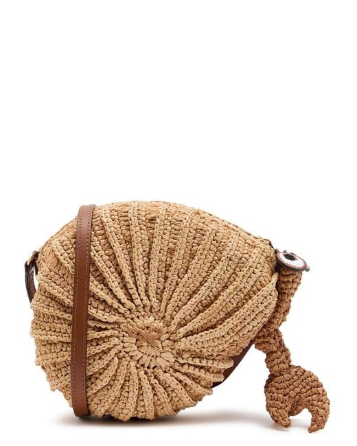 Anya Hindmarch Brown Hermit Crab Raffia And Leather Cross-Body Bag