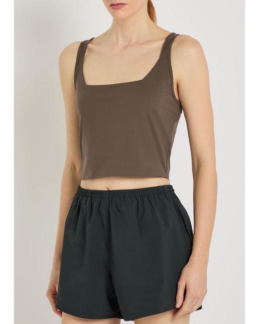 Spense Brown Martina Form Cropped Tank Top