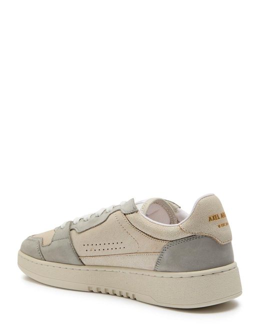 Axel Arigato Gray Dice Lo Panelled Leather Sneakers for men