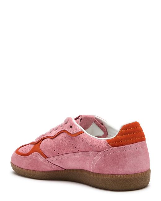 Alohas Pink Tb.490 Rife Panelled Suede Sneakers