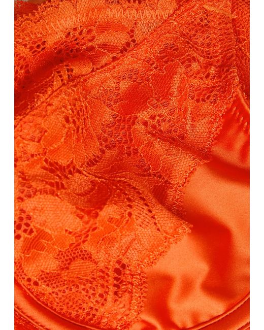 Wacoal Orange Natsuki Lace Underwired Bra