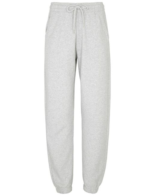 COLORFUL STANDARD Gray Cotton Sweatpants