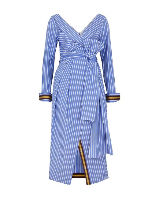Dries Van Noten Blue Dolada Striped Cotton Midi Dress