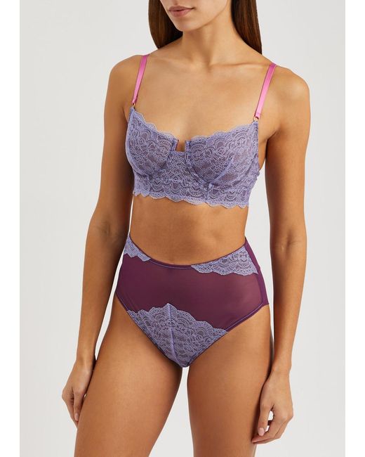 Dora Larsen Purple Savannah High-waist Lace And Tulle Briefs