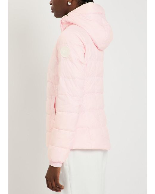 Canada Goose Pink Abbott Hooded Padded Shell Jacket