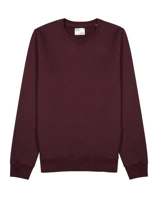 COLORFUL STANDARD Purple Cotton Sweatshirt for men