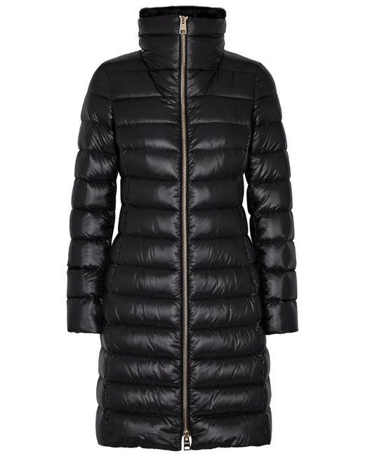 Herno Black Quilted Faux Fur-trimmed Shell Jacket