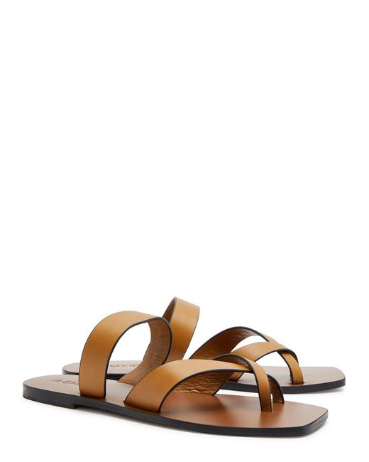 A.Emery Brown A. Emery Carter Leather Thong Sandals