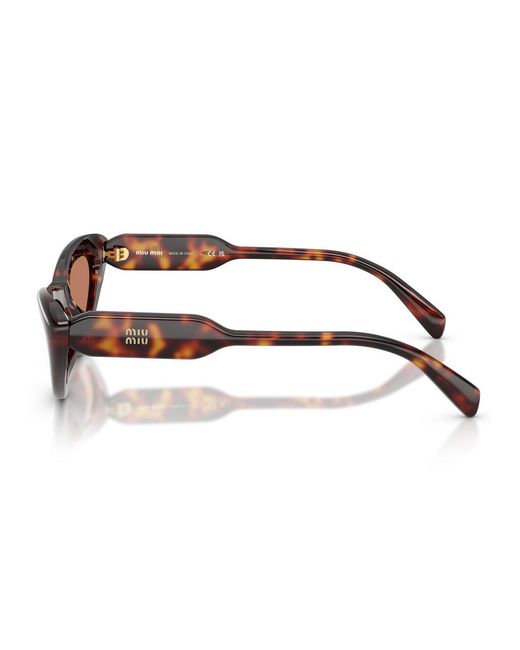 Miu Miu Brown Cat-Eye Sunglasses
