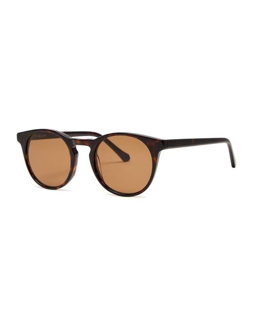 Finlay & Co. Brown Percy Round-Frame Sunglasses for men