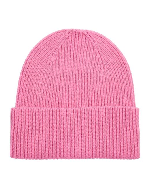 COLORFUL STANDARD Pink Ribbed Wool Beanie