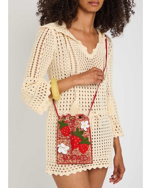 Loewe Red X Paula's Ibiza Strawberry Raffia Cross-Body Pouch