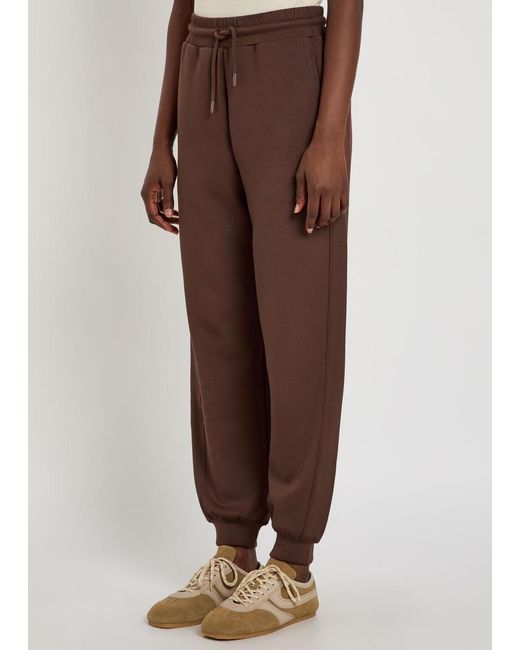 Now You Live Brown Uppingham Jersey Sweatpants