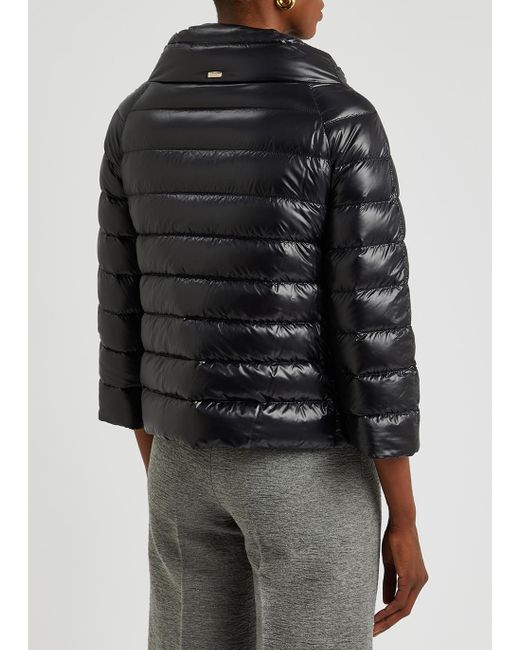 Herno Sofia Quilted Shell Jacket in Black | Lyst
