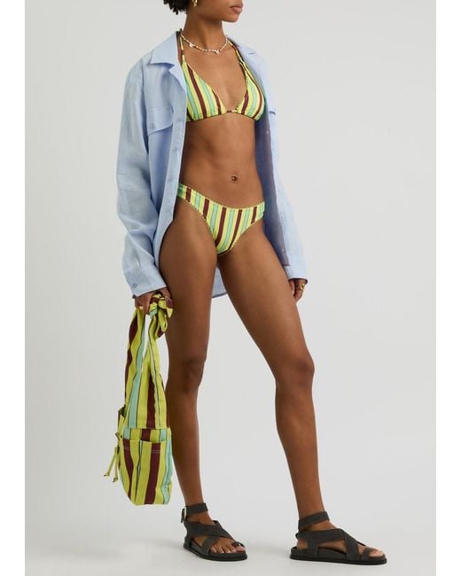 Damson Madder Yellow Striped Bikini Briefs