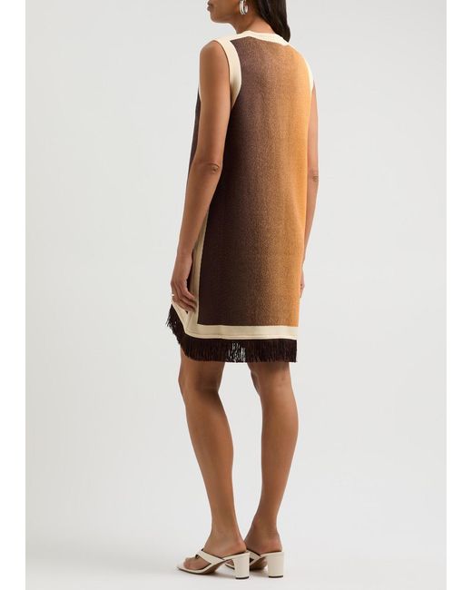 Ph5 Brown Daisy Fringe-Trimmed Knitted Mini Dress