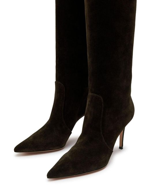 Gianvito Rossi Black Hansen Suede Over-The-Knee Boots